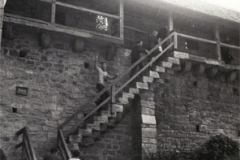 Bild-10